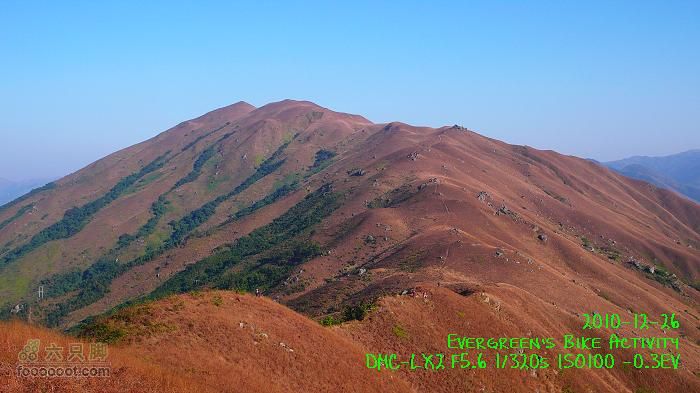 2010 12 26 牛牯嶺 雞公山 桂角山P1350520