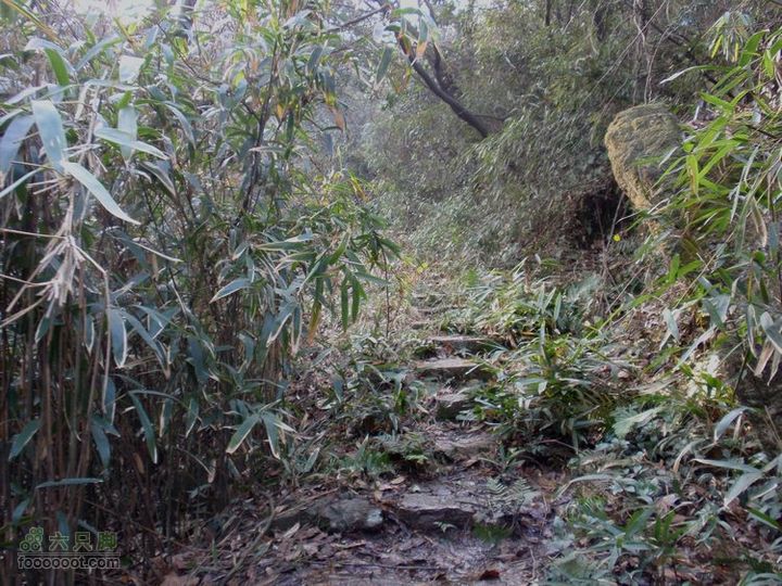 邵岙湖、岗墩、桐岭、阳觉殿绕圈路线古道一景