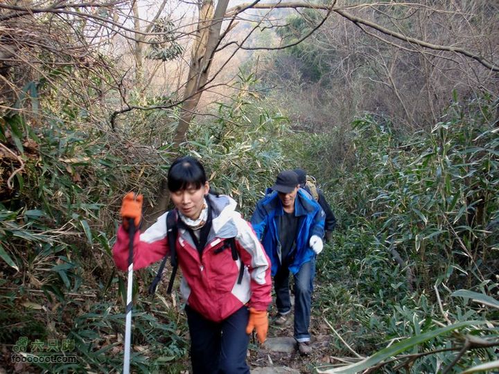 邵岙湖、岗墩、桐岭、阳觉殿绕圈路线连续上坡有点吃力