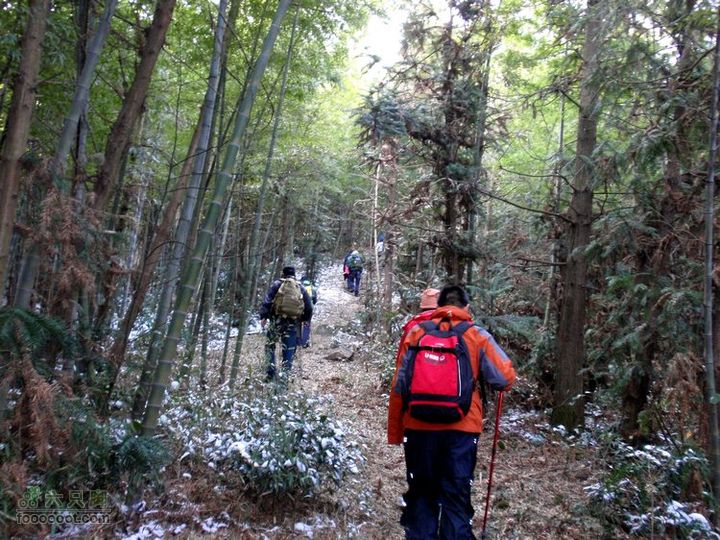 邵岙湖、岗墩、桐岭、阳觉殿绕圈路线竹林和杉树林