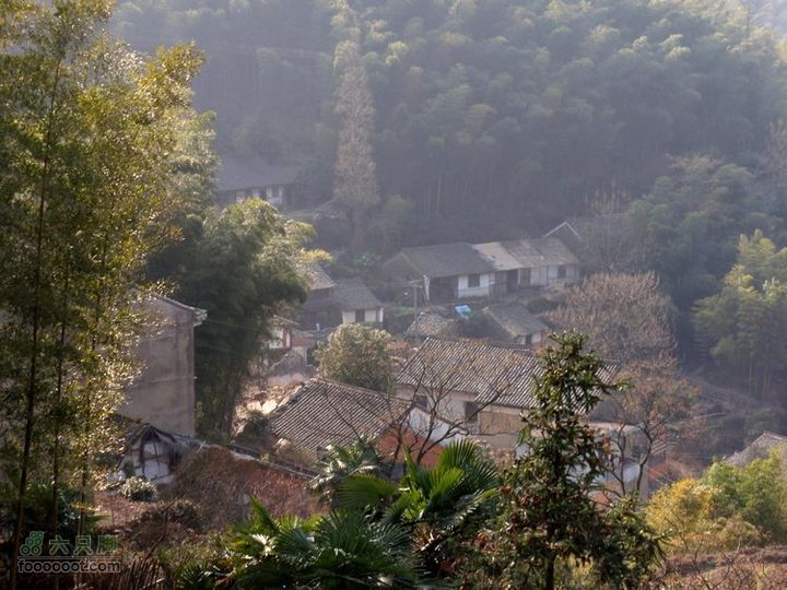 邵岙湖、岗墩、桐岭、阳觉殿绕圈路线郑家潭村