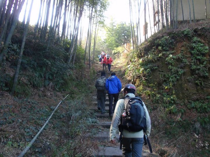 邵岙湖、岗墩、桐岭、阳觉殿绕圈路线从郑家潭到桐岭去的叉口