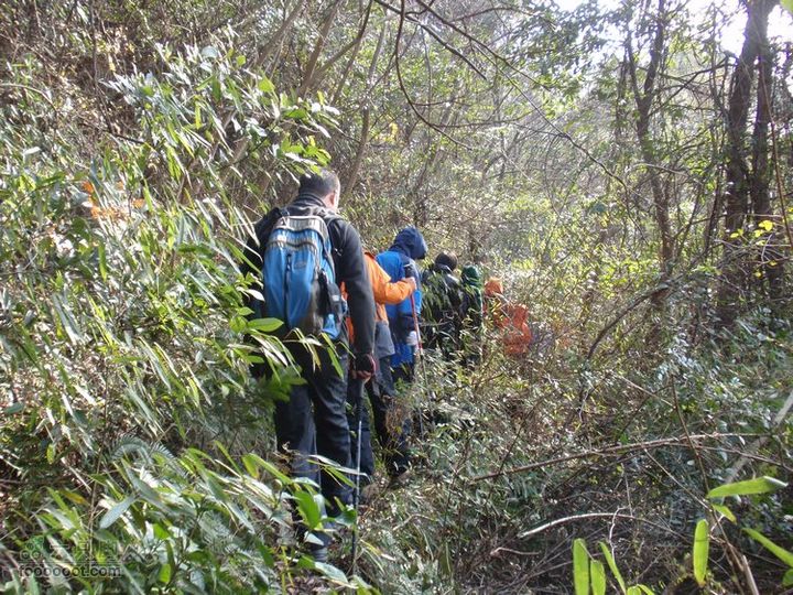 邵岙湖、岗墩、桐岭、阳觉殿绕圈路线这段有点难走
