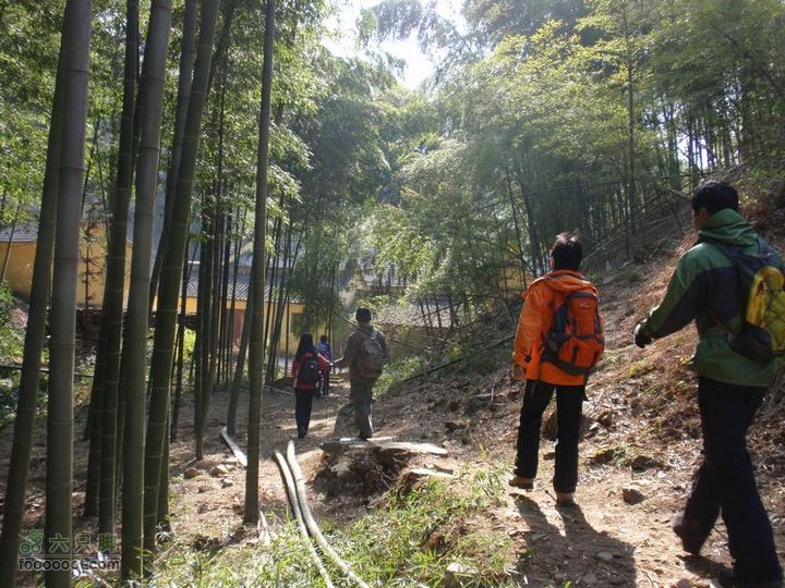 邵岙湖、岗墩、桐岭、阳觉殿绕圈路线桐岭的天医寺