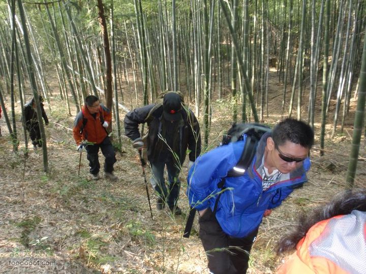 邵岙湖、岗墩、桐岭、阳觉殿绕圈路线竹林后段的上坡
