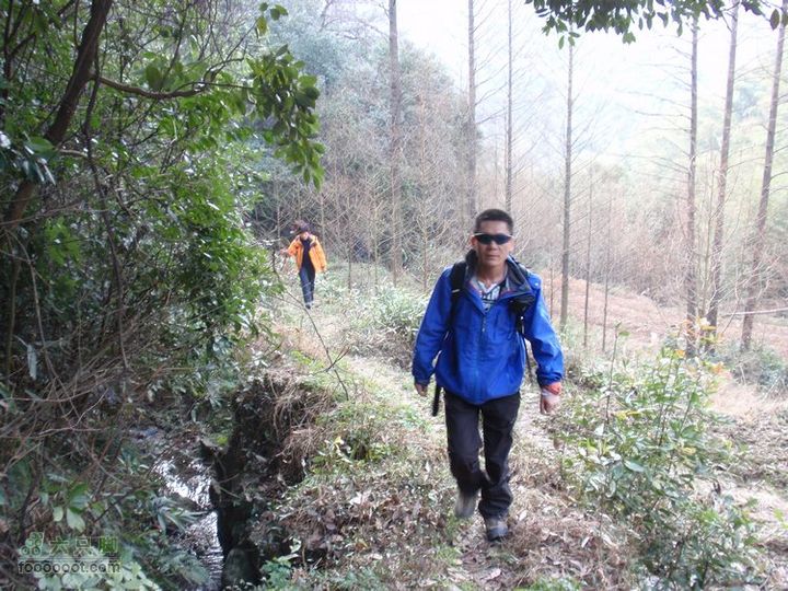 邵岙湖、岗墩、桐岭、阳觉殿绕圈路线西茅山到东茅山的小道。