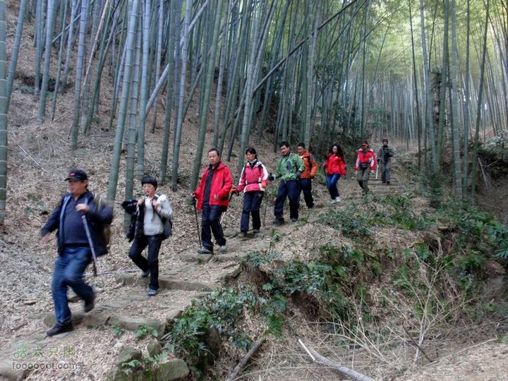 邵岙湖、岗墩、桐岭、阳觉殿绕圈路线东茅山到龙王堂的古道