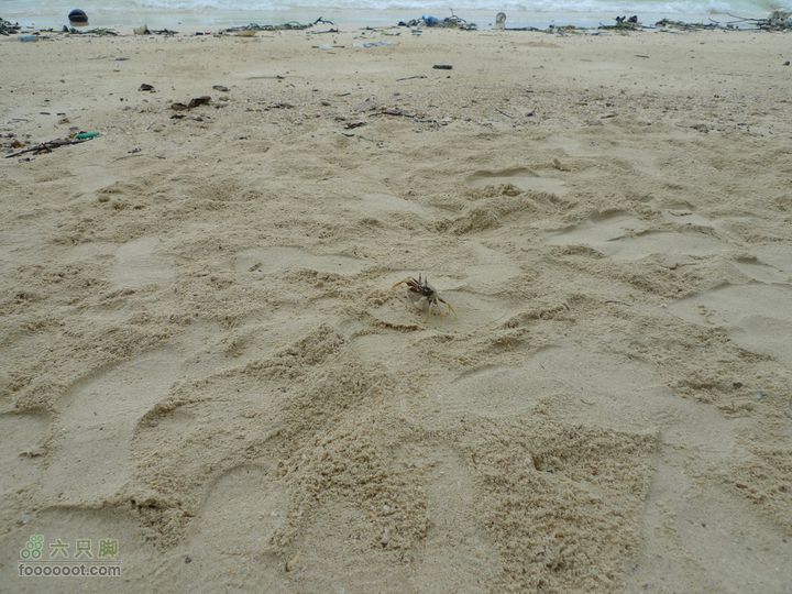 普吉pp岛曼谷11日自助游，全程GPS轨迹+照片已经快不怕人了