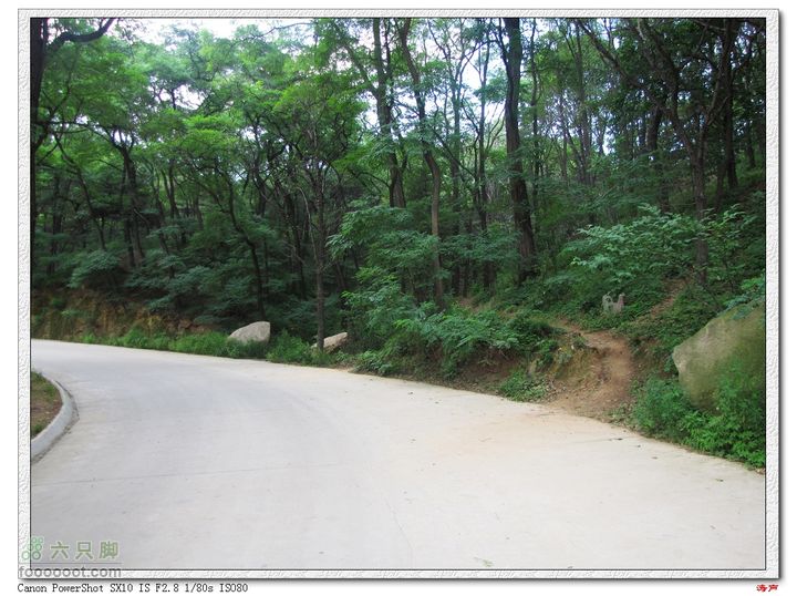 鲁山松仙岭极顶枣树裕线路走小路翻过这个山头