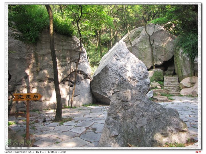 鲁山松仙岭极顶枣树裕线路龙凤石