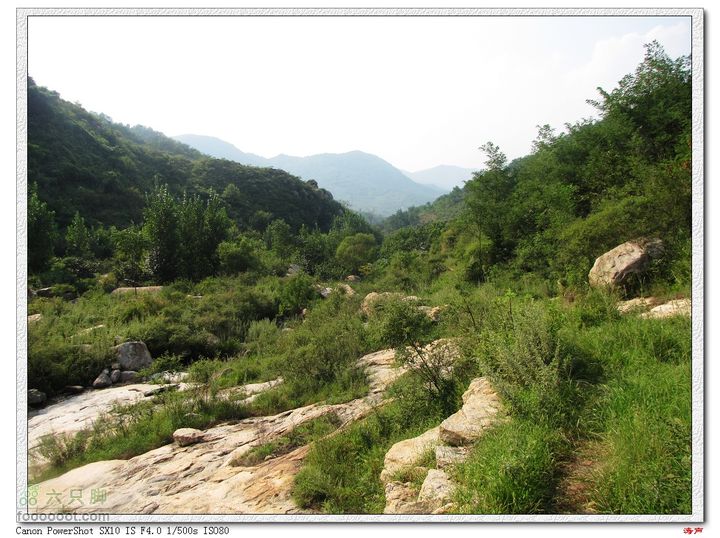 鲁山松仙岭极顶枣树裕线路河道