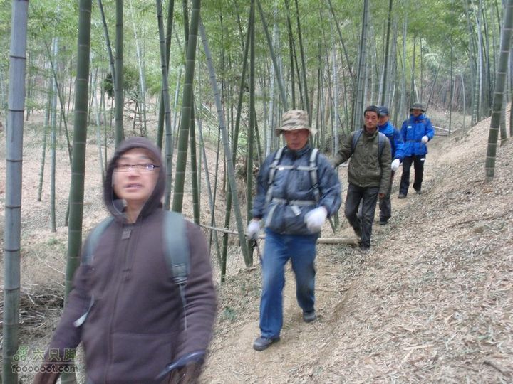 横穿慈溪（从凤浦湖到梅湖）到关头的路上