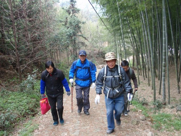 横穿慈溪（从凤浦湖到梅湖）塔岭