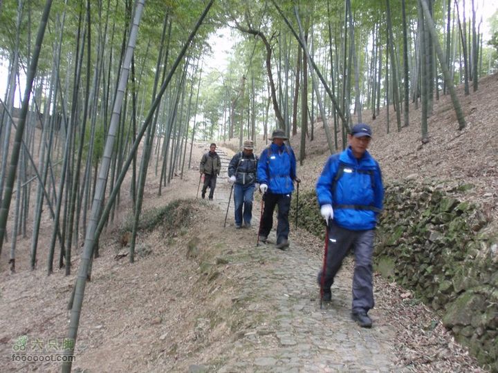 横穿慈溪（从凤浦湖到梅湖）去桂岙村的古道