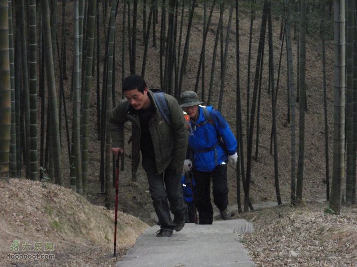 横穿慈溪（从凤浦湖到梅湖）后茅山村后上手机接收塔的水泥路