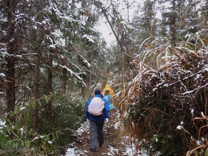 横穿慈溪（从凤浦湖到梅湖）大岙到解放岙的山路