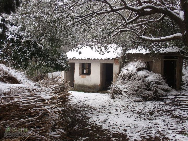 横穿慈溪（从凤浦湖到梅湖）解放岙林场