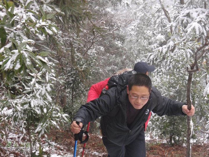 横穿慈溪（从凤浦湖到梅湖）林场防火道上
