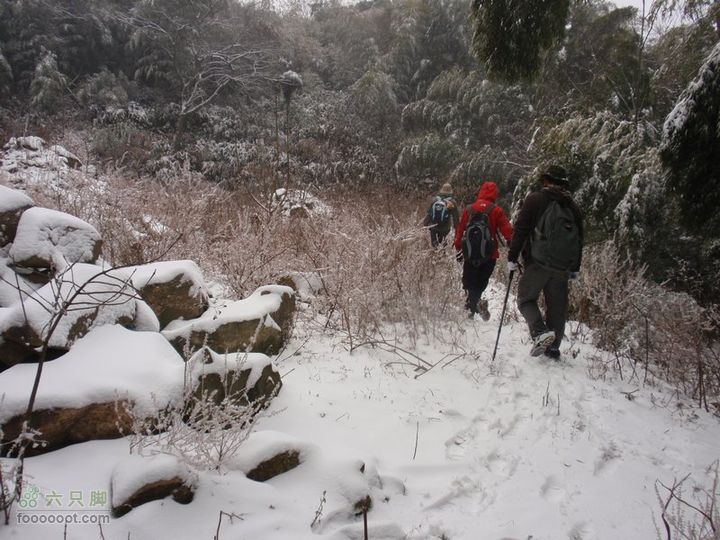 横穿慈溪（从凤浦湖到梅湖）朝前红顶