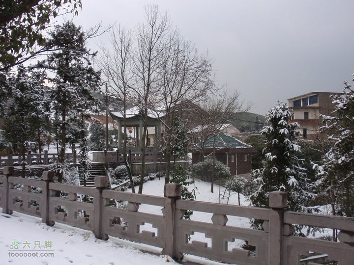 横穿慈溪（从凤浦湖到梅湖）岗墩村