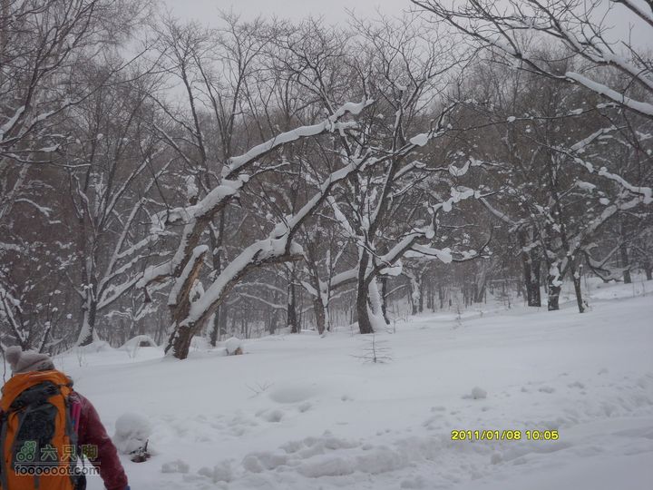 吉林市户外知己--风雪鹿角沟S73R0020