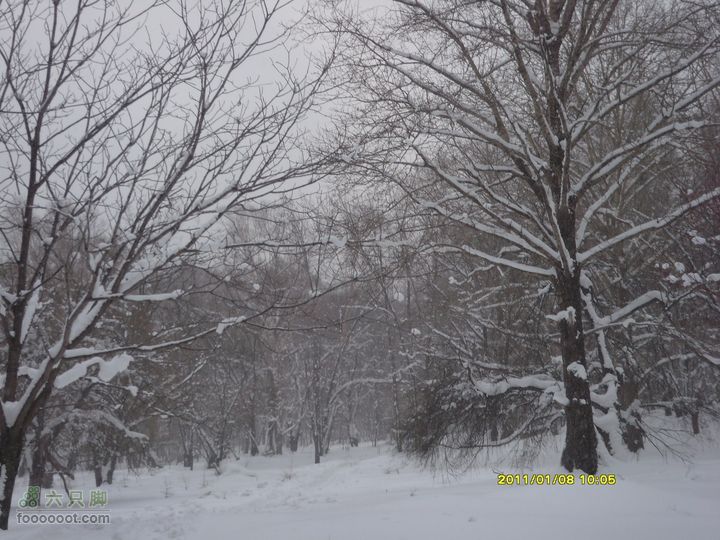 吉林市户外知己--风雪鹿角沟S73R0021