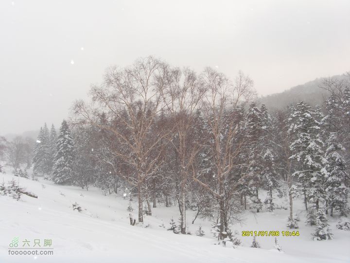 吉林市户外知己--风雪鹿角沟海拔800米的山林景色