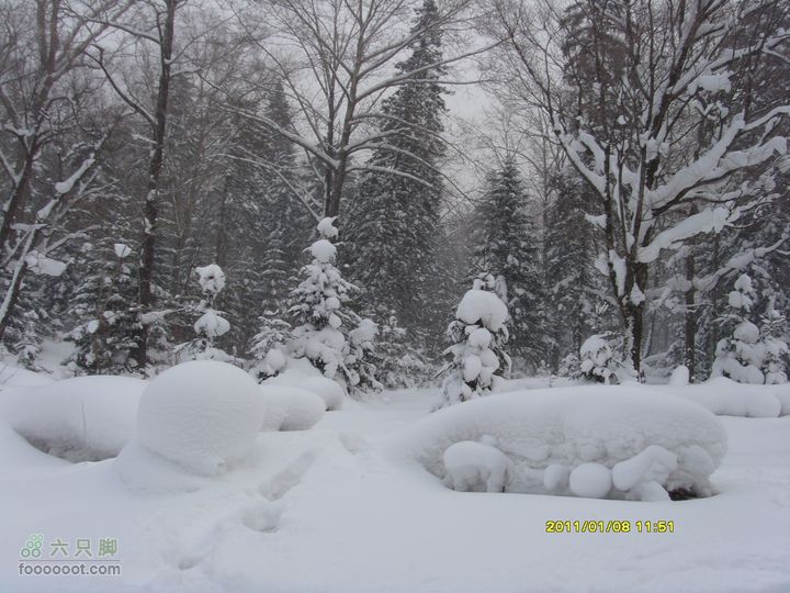吉林市户外知己--风雪鹿角沟S73R0035