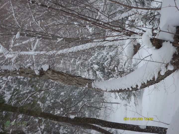 吉林市户外知己--风雪鹿角沟S73R0045