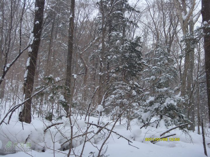 吉林市户外知己--风雪鹿角沟S73R0046