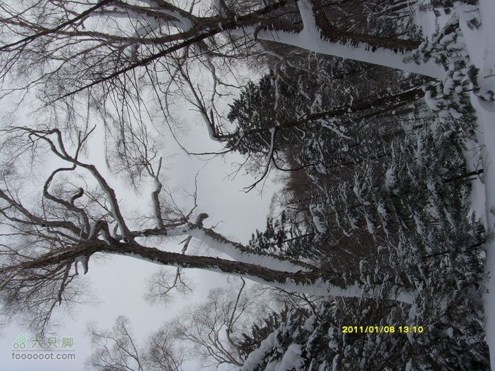 吉林市户外知己--风雪鹿角沟S73R0048