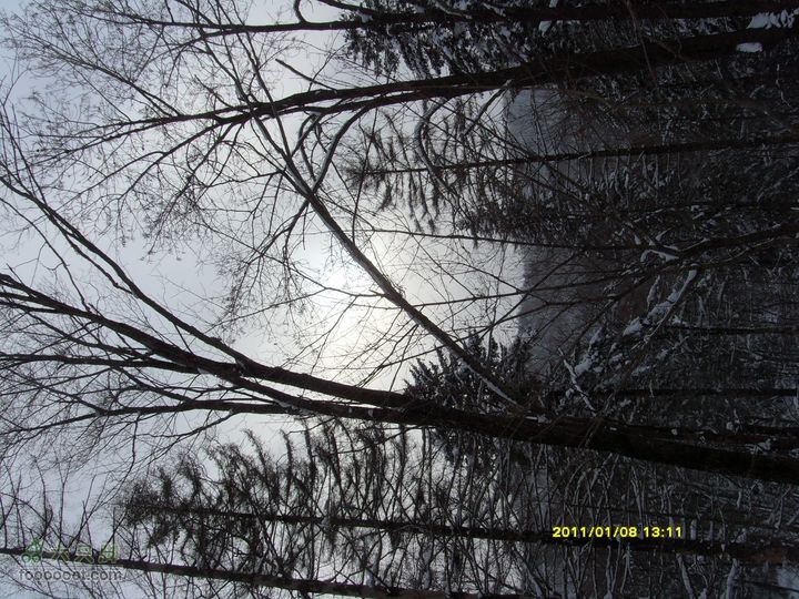 吉林市户外知己--风雪鹿角沟S73R0049
