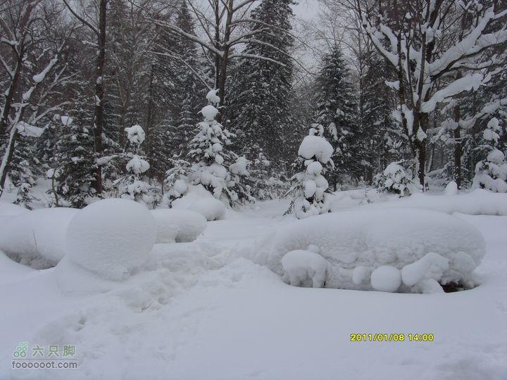 吉林市户外知己--风雪鹿角沟S73R0050