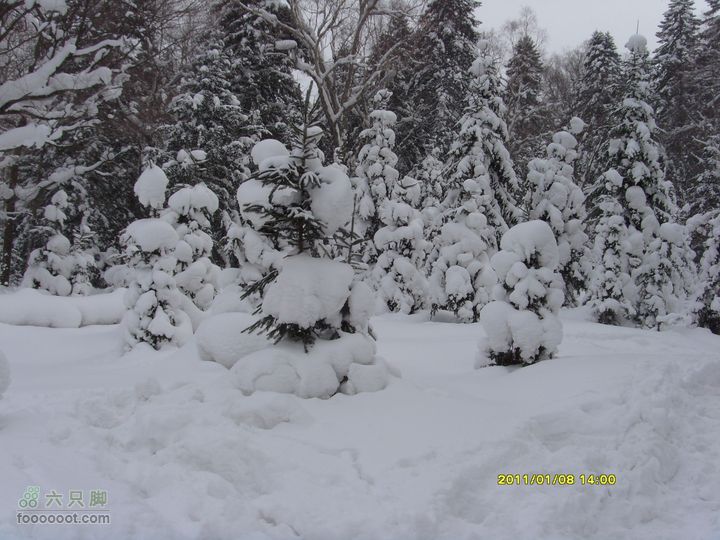 吉林市户外知己--风雪鹿角沟S73R0051