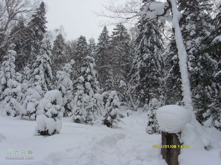 吉林市户外知己--风雪鹿角沟S73R0052