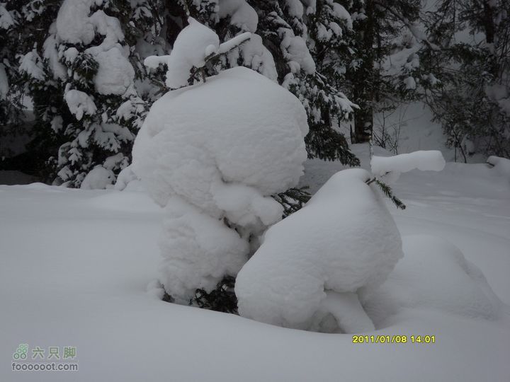 吉林市户外知己--风雪鹿角沟S73R0054
