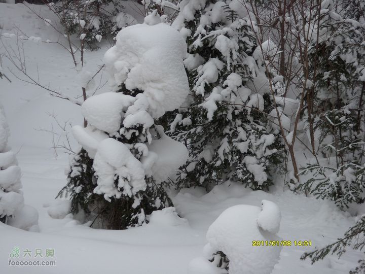 吉林市户外知己--风雪鹿角沟泰迪熊