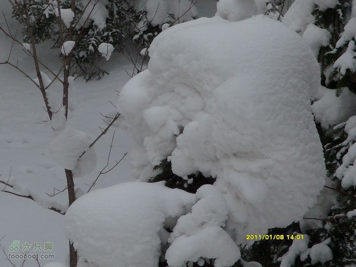 吉林市户外知己--风雪鹿角沟S73R0056