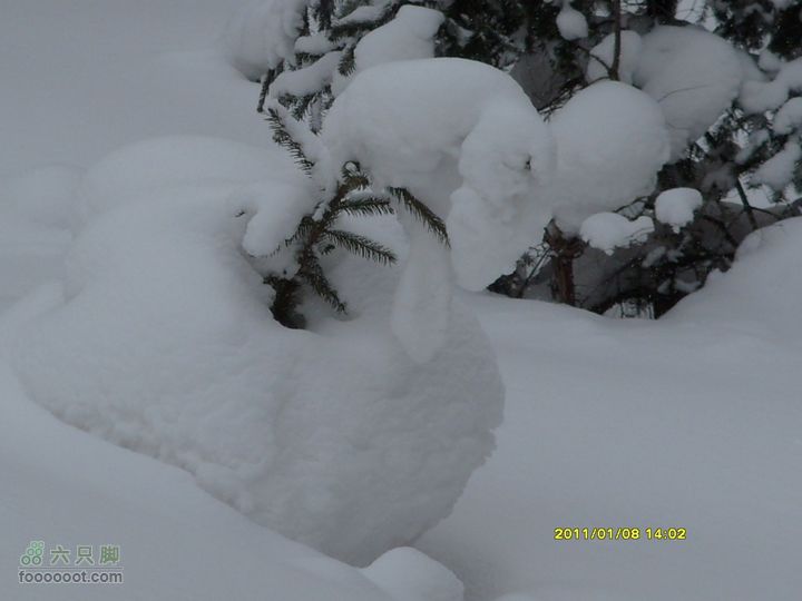 吉林市户外知己--风雪鹿角沟S73R0059