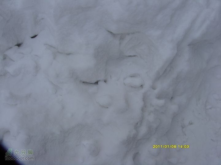 吉林市户外知己--风雪鹿角沟S73R0060