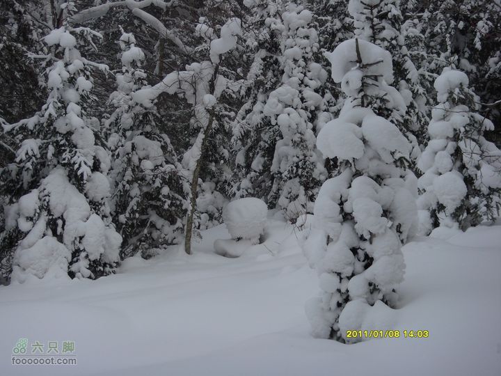 吉林市户外知己--风雪鹿角沟S73R0061