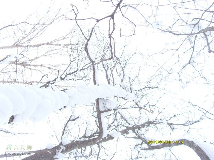 吉林市户外知己--风雪鹿角沟S73R0062