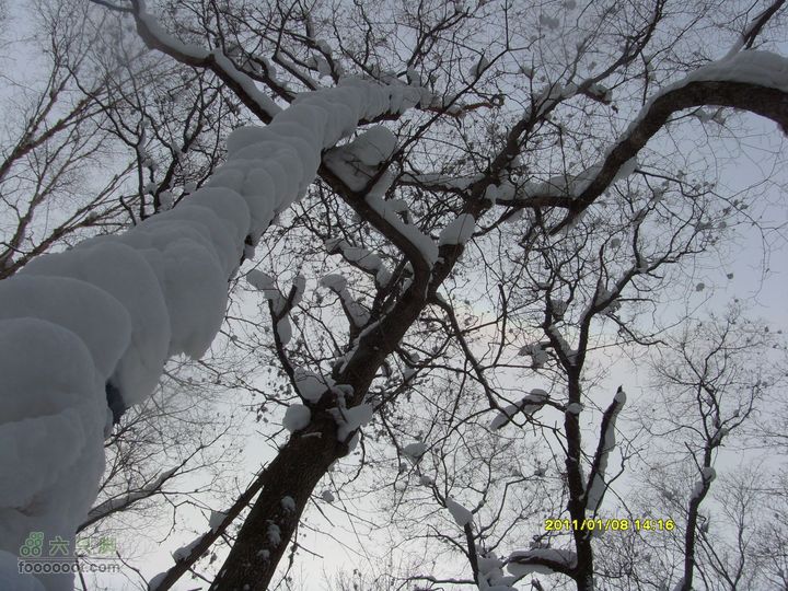 吉林市户外知己--风雪鹿角沟S73R0064