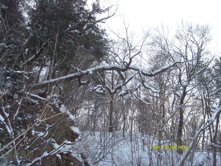 吉林市户外知己--风雪鹿角沟S73R0067