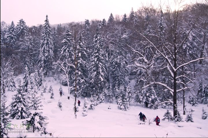 吉林市户外知己--风雪鹿角沟开路者