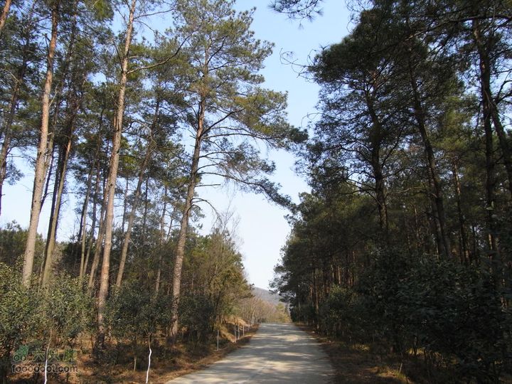 老山穿越珍珠泉至兜率寺RIMG0423