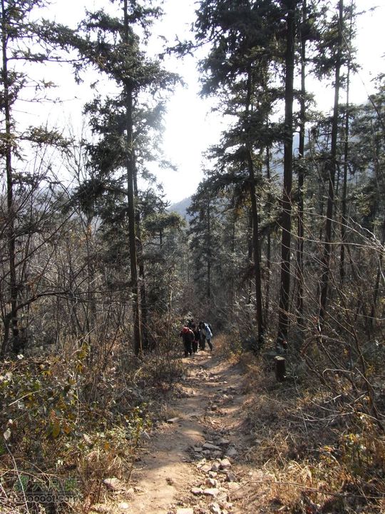 老山穿越珍珠泉至兜率寺RIMG0474