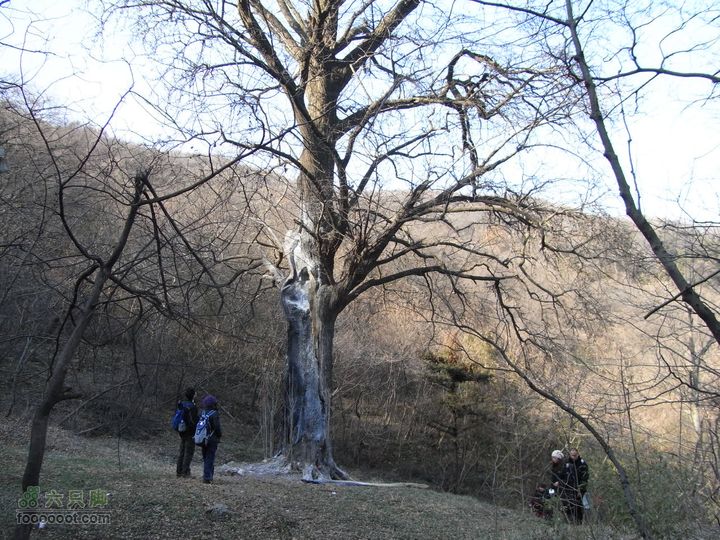 老山穿越珍珠泉至兜率寺RIMG0492