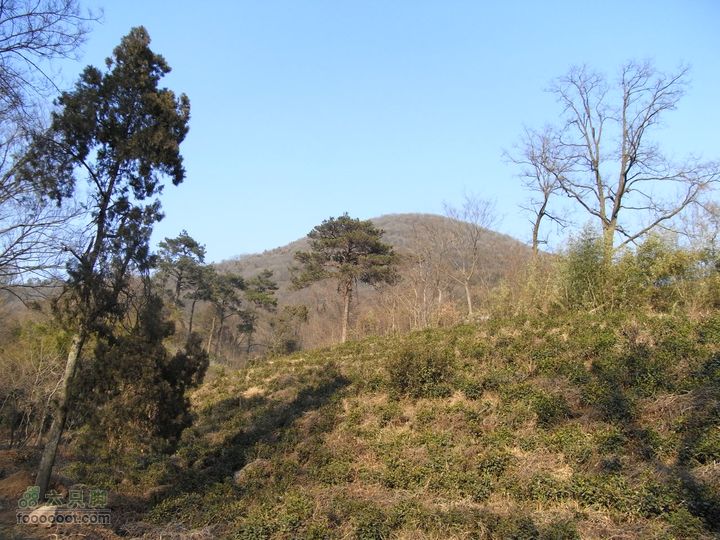 老山穿越珍珠泉至兜率寺RIMG0508