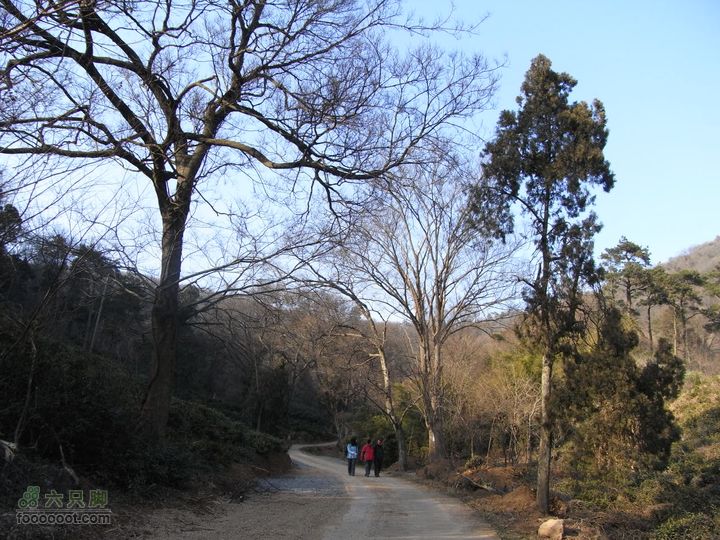 老山穿越珍珠泉至兜率寺RIMG0510